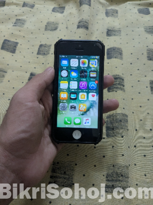 Iphone 5s